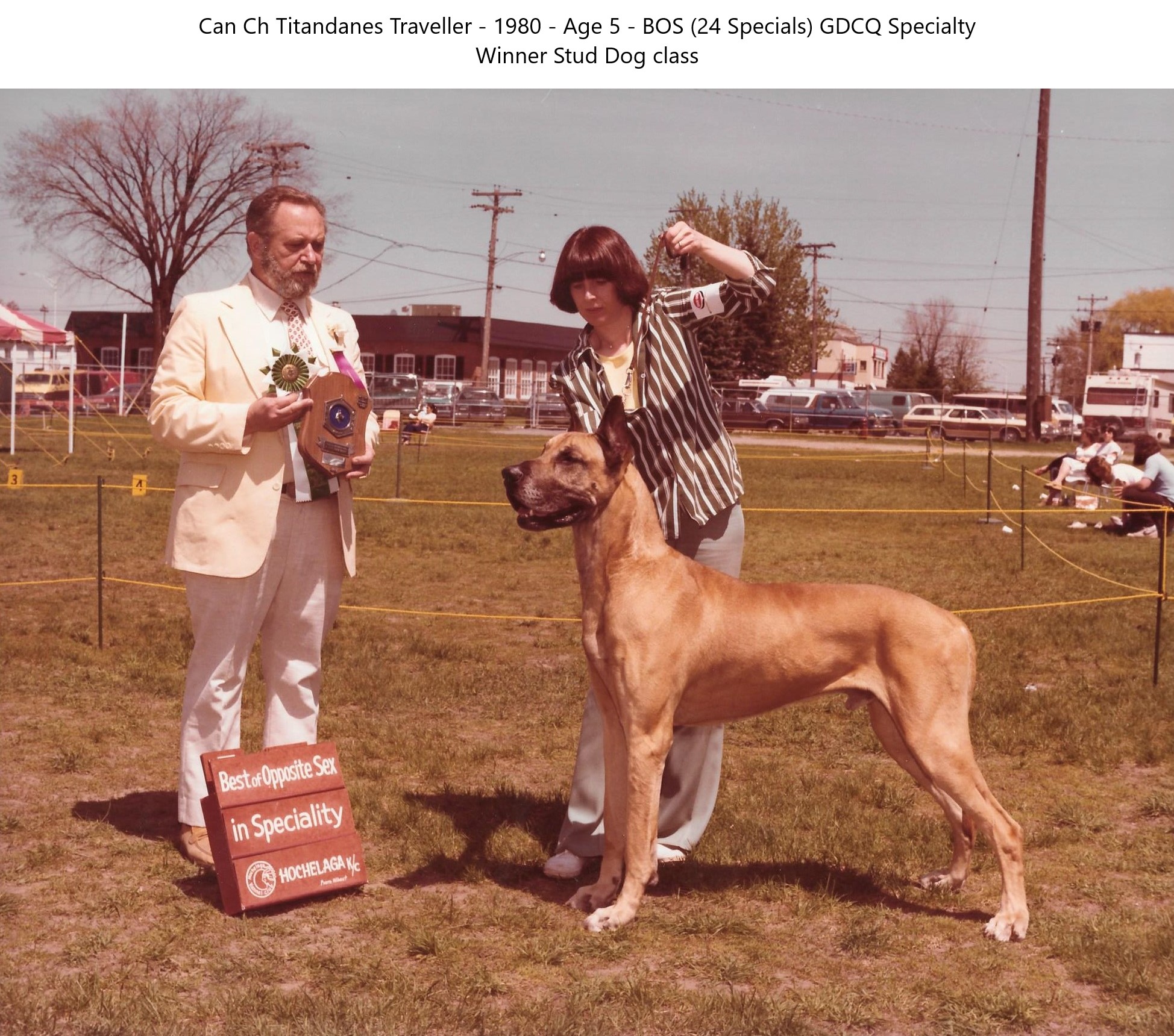 Can Ch Titandanes Traveller Age 5